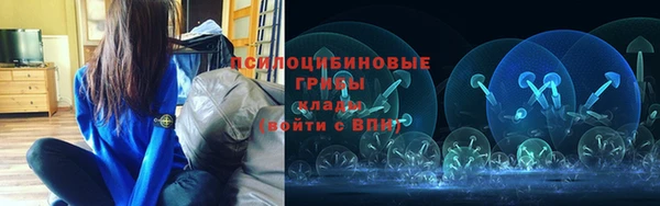 PSILOCYBIN Алзамай