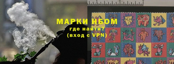 PSILOCYBIN Алзамай