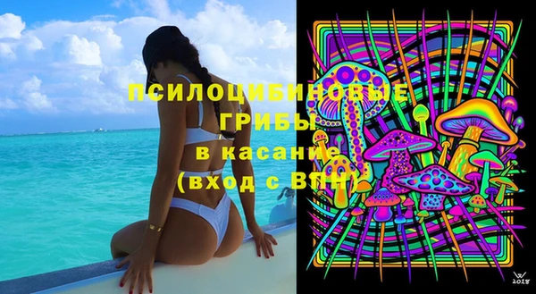 PSILOCYBIN Алзамай