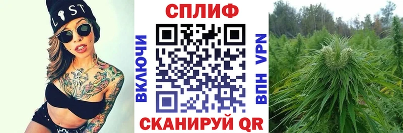 Бошки марихуана Bruce Banner  как найти   Владимир 
